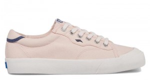 Keds Crew Kick 75 Canvas Varsity Canvas Damen Rosa | 60871ROKV