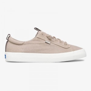 Keds Kickback Washable Organic Baumwoll Halbschuhe Damen Grau | 37850ANLR