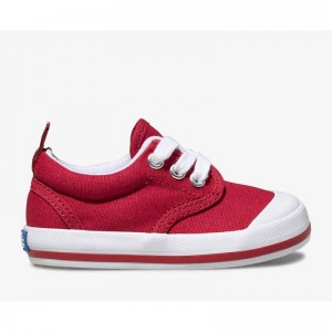 Keds Little Kid's Graham Sneaker Kinder Rot | 23041WTJS